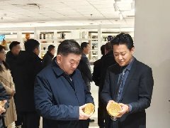 鄂尔多斯市人民政府副市长额登毕力格一行莅临我司调研指导